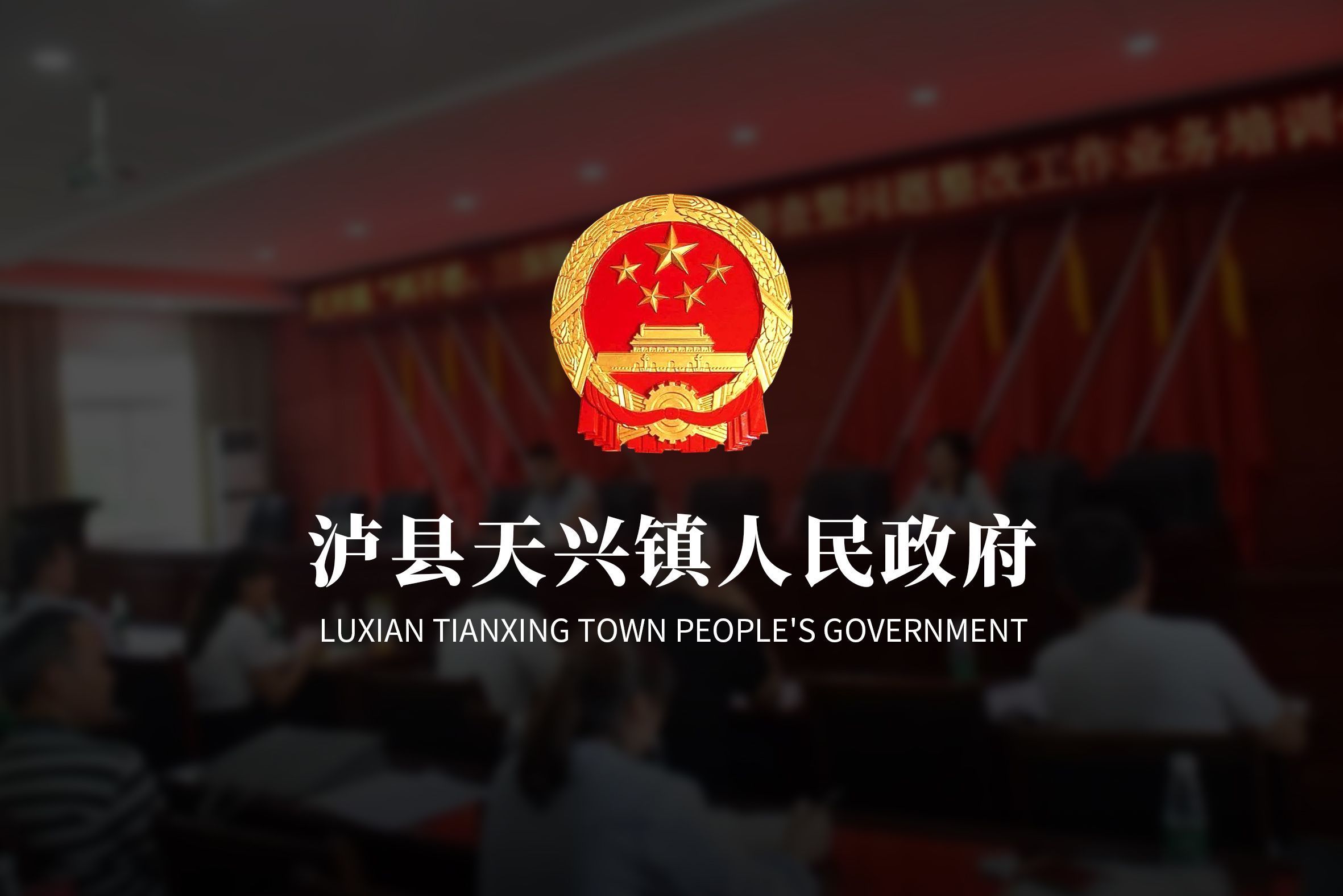 泸县天兴镇人民政府外宣