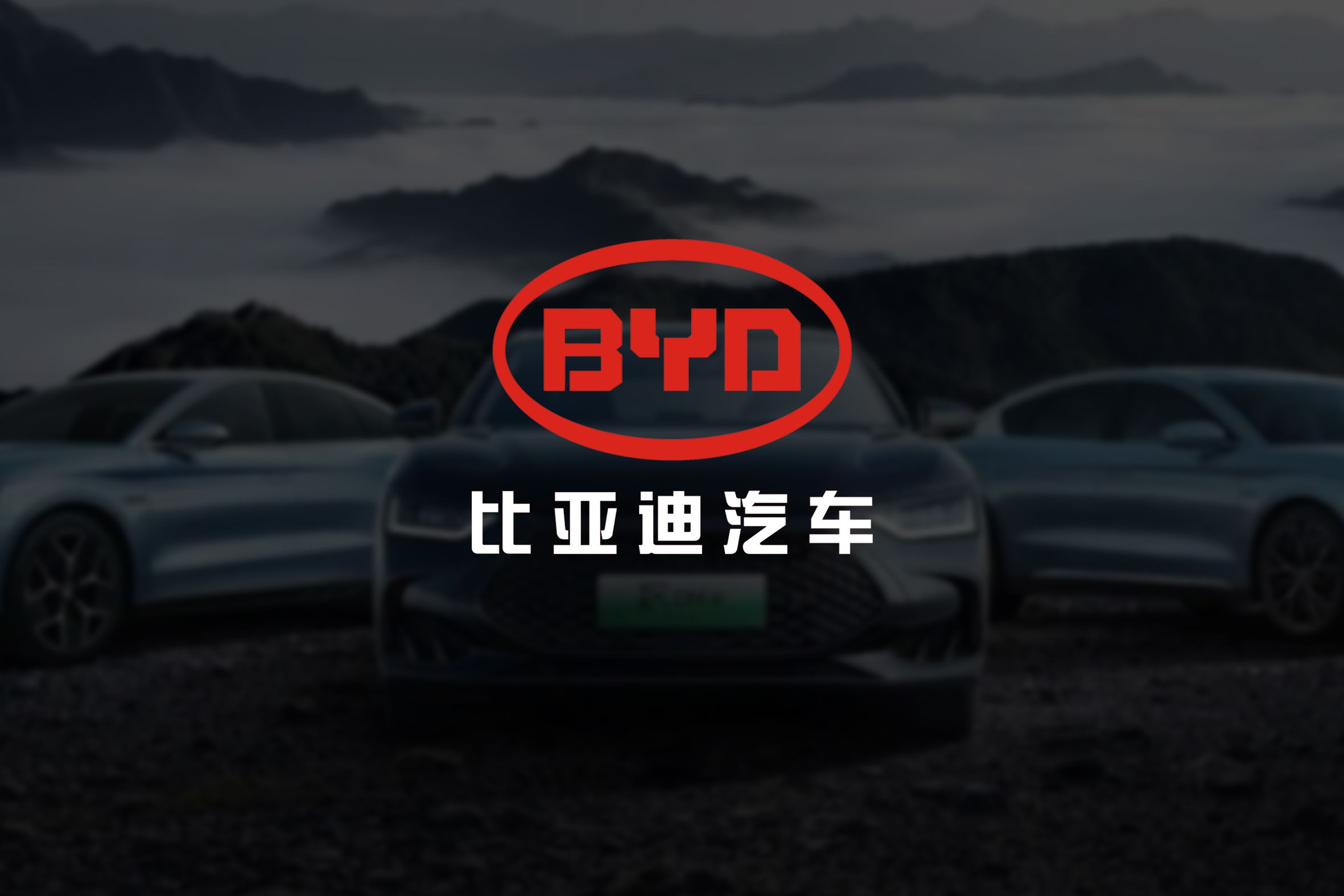 泸州忠山比亚迪